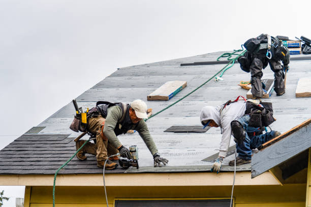 Professional Roof Repair technician working in Bahama, NC